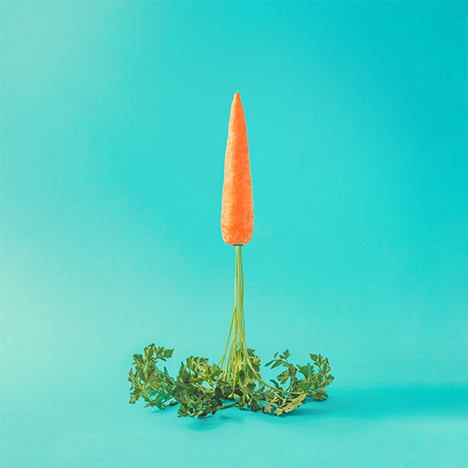 Carrots
